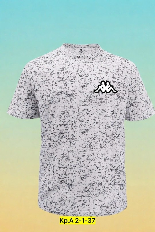 футболка мужская kappa,kappa футболка,футболки мужские,футболки для мальчика,футболка каппа серая