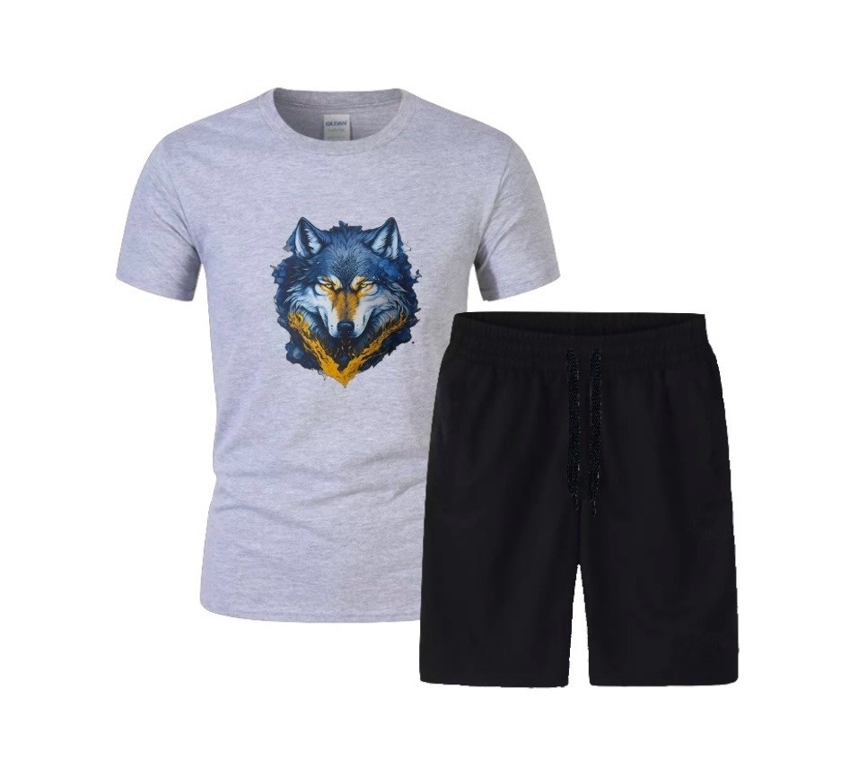 футболки комплект,костюм спортивный мужской,костюм мужской,мужской костюм с шортами,летние костюмы