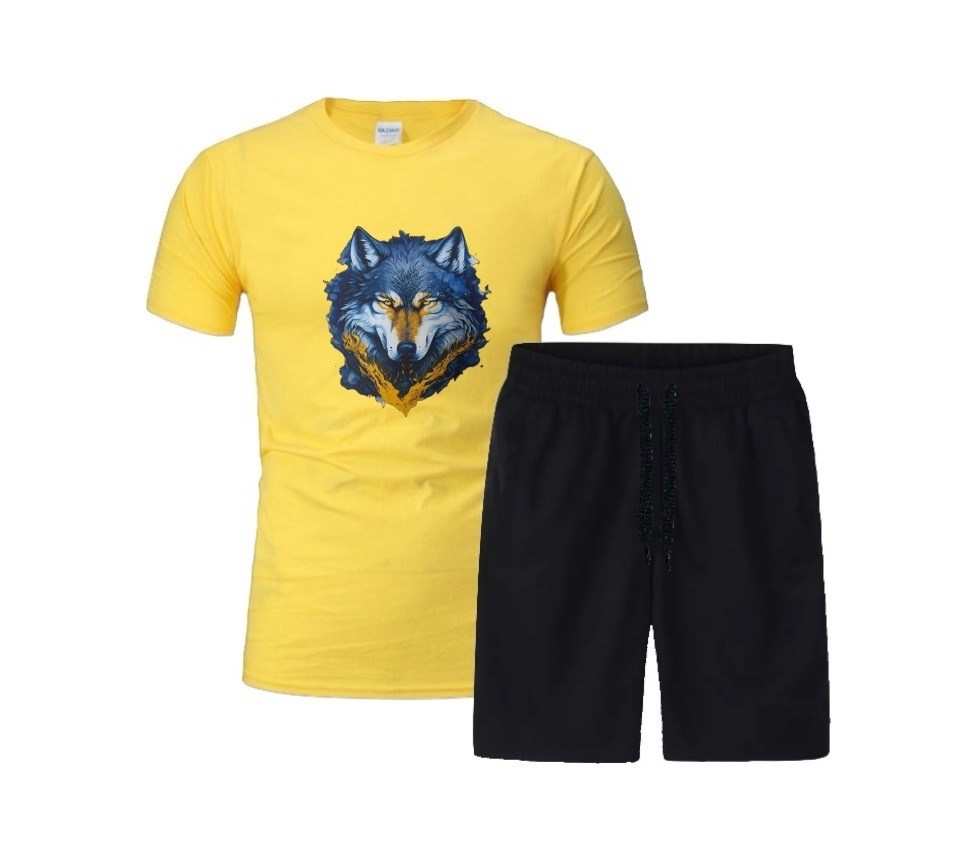 футболки комплект,костюм спортивный мужской,костюм мужской,мужской костюм с шортами,летние костюмы