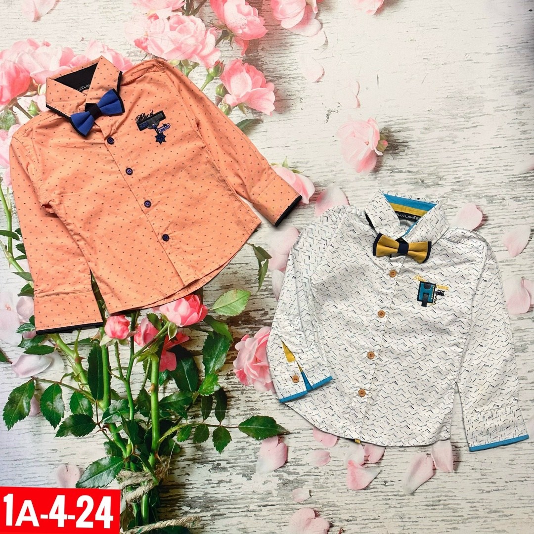 рубашка для мальчика,рубашка с бабочкой для мальчика,детская рубашка для мальчика,детская рубашка,cegisa рубашки для мальчиков