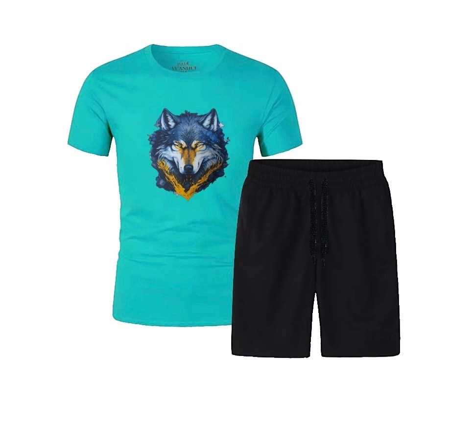 футболки комплект,костюм спортивный мужской,костюм мужской,мужской костюм с шортами,летние костюмы