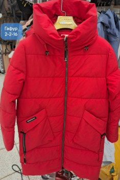 Верхняя одежда