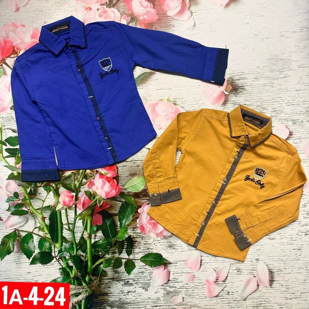 рубашка для мальчика,рубашка с бабочкой для мальчика,детская рубашка для мальчика,детская рубашка,cegisa рубашки для мальчиков