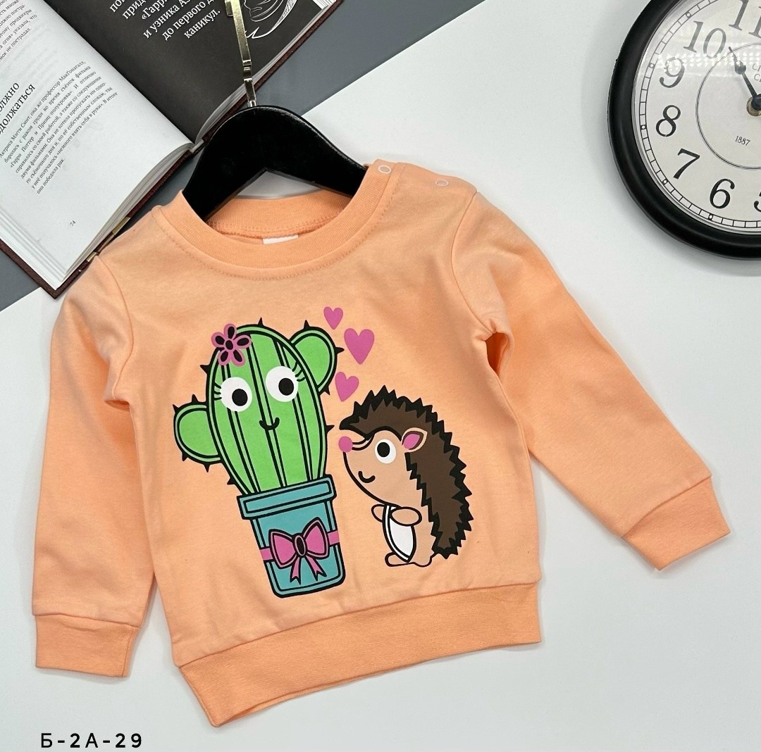 детский свитшот,cвитшот для девочки,свитшот и толстовка,свитшот толстовка для девочки,детская кофта