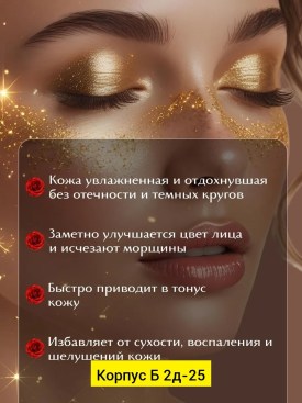 Одежда