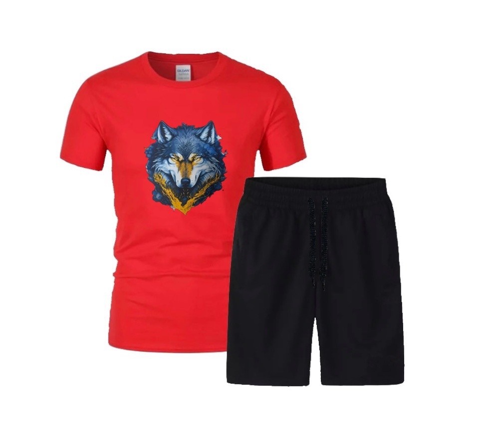 футболки комплект,костюм спортивный мужской,костюм мужской,мужской костюм с шортами,летние костюмы