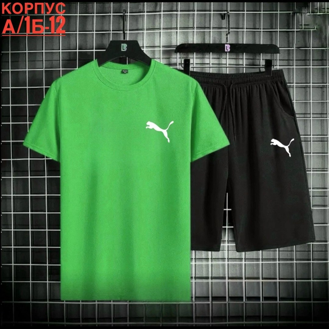 костюм спортивный мужской,комплект мужской одежды,спортивные костюм,комплект спортивной одежды,одежда спортивная