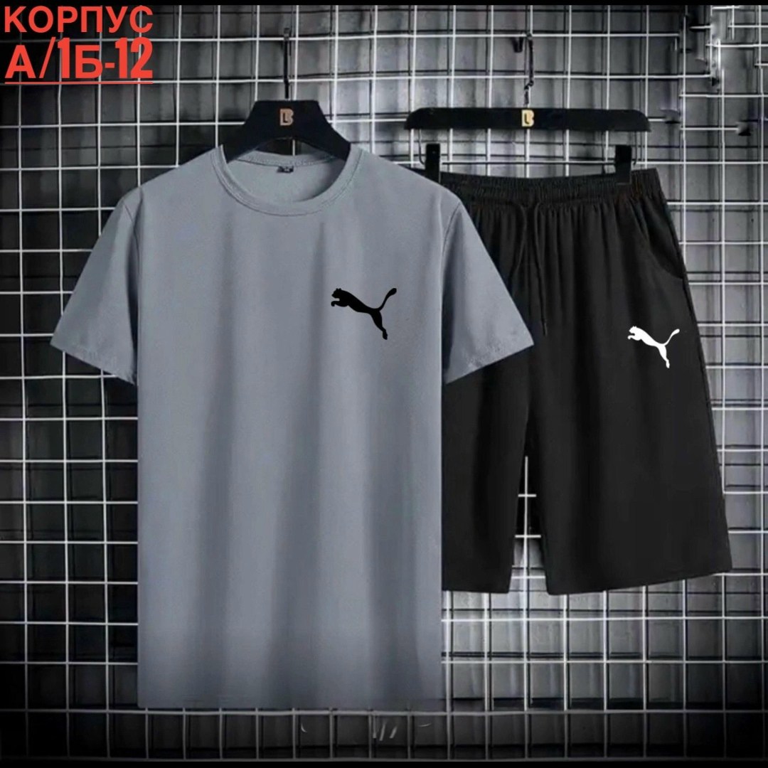 костюм спортивный мужской,комплект мужской одежды,спортивные костюм,комплект спортивной одежды,одежда спортивная