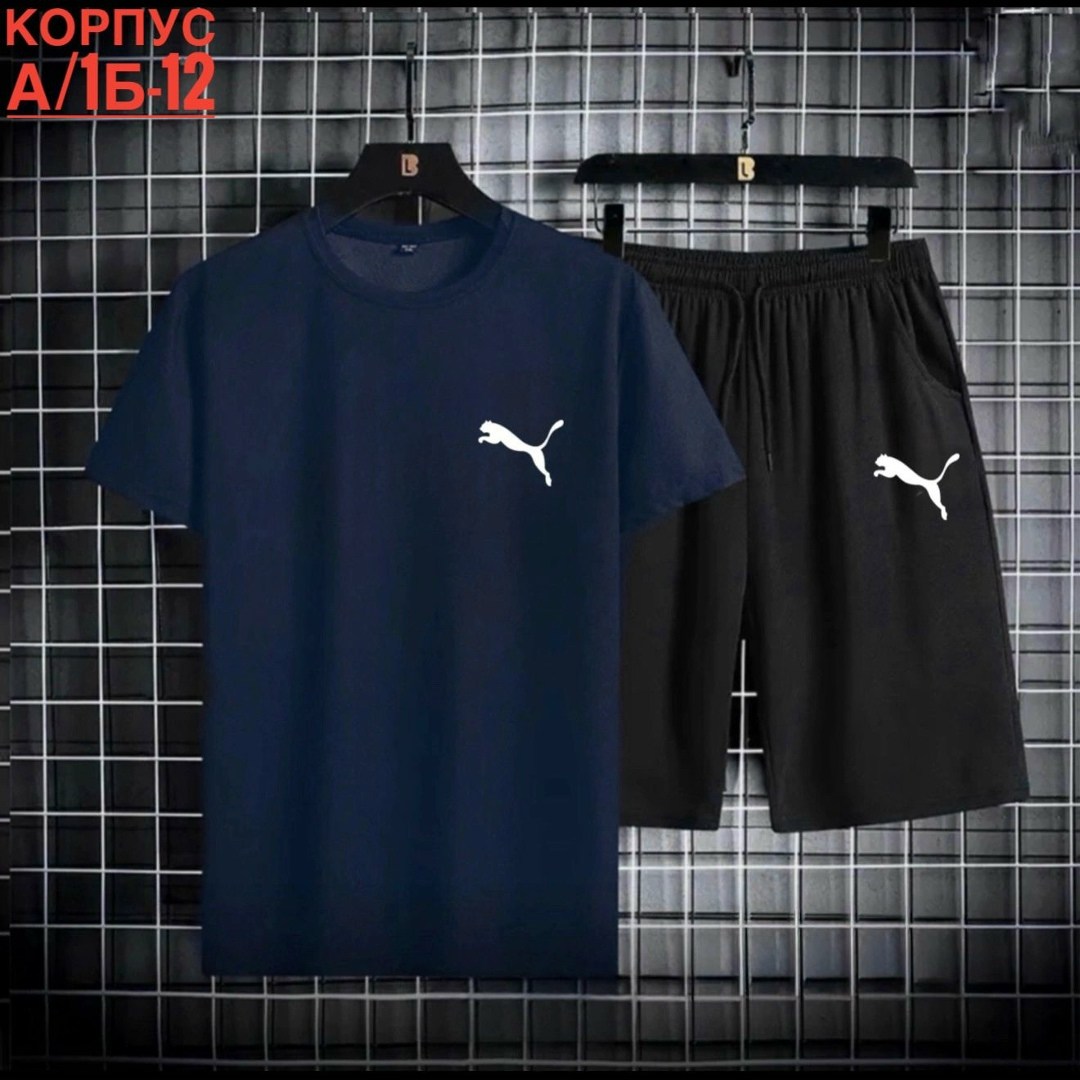 костюм спортивный мужской,комплект мужской одежды,спортивные костюм,комплект спортивной одежды,одежда спортивная