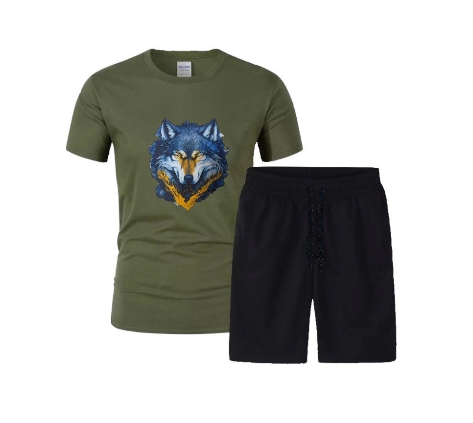 футболки комплект,костюм спортивный мужской,костюм мужской,мужской костюм с шортами,летние костюмы