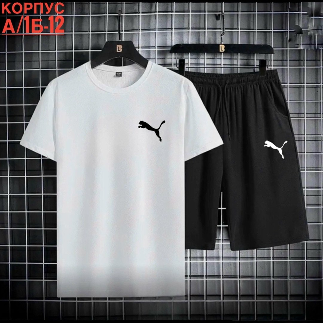 костюм спортивный мужской,комплект мужской одежды,спортивные костюм,комплект спортивной одежды,одежда спортивная