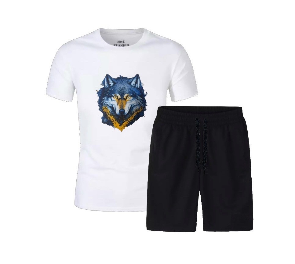 футболки комплект,костюм спортивный мужской,костюм мужской,мужской костюм с шортами,летние костюмы