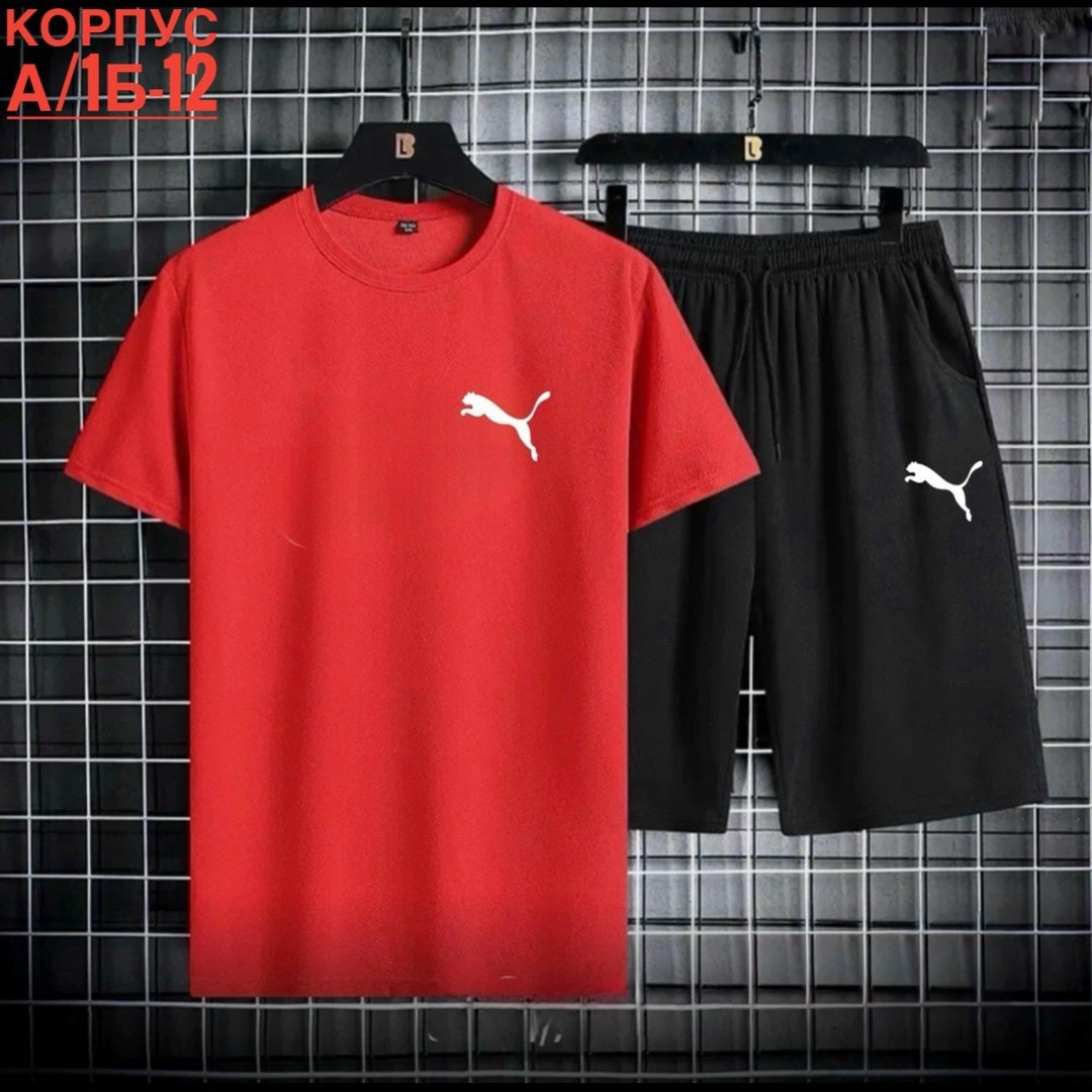 костюм спортивный мужской,комплект мужской одежды,спортивные костюм,комплект спортивной одежды,одежда спортивная