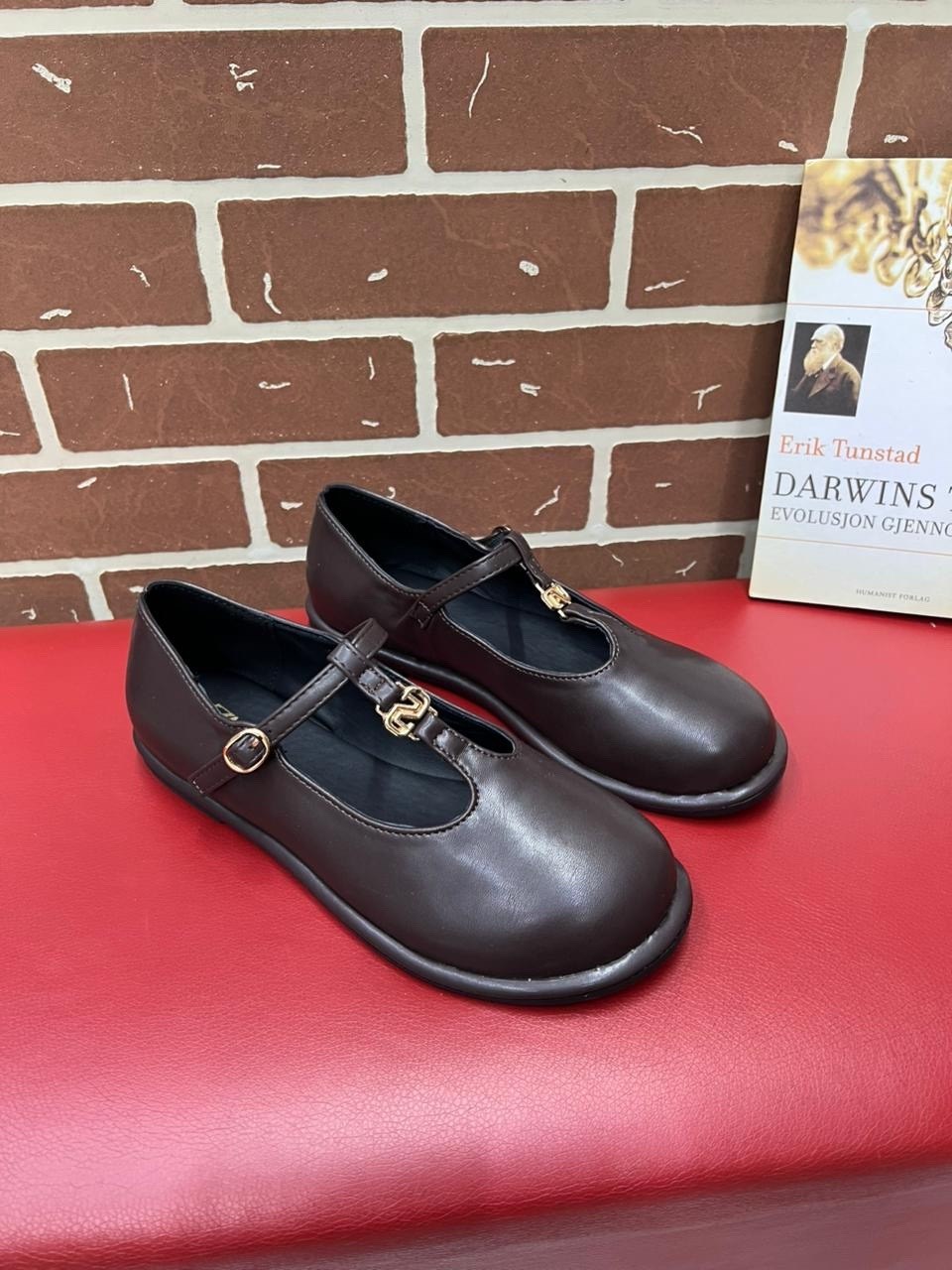 ,женская ,стильные туфли,повседневная ,обуви