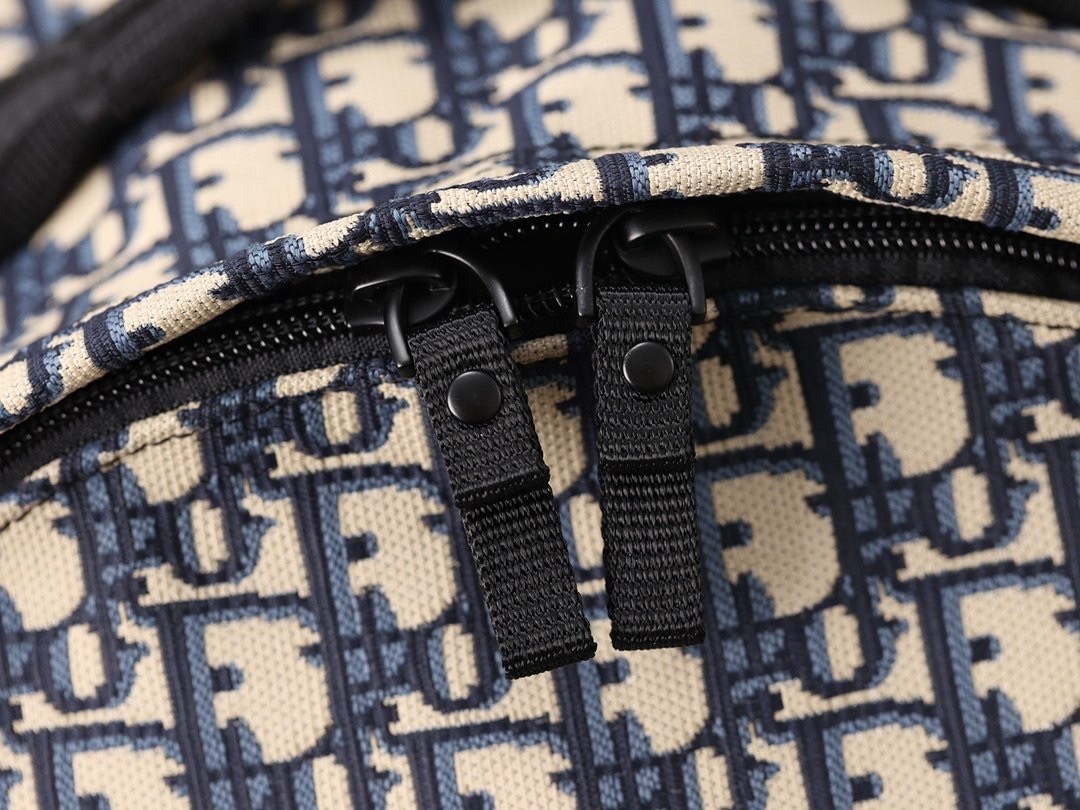 рюкзак диор,рюкзак dior,рюкзак,женские рюкзаки,классическая рюкзаки