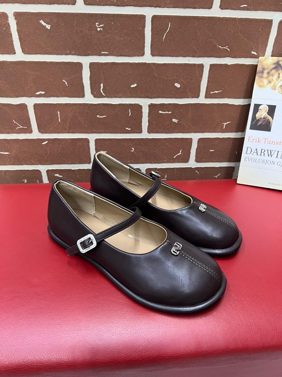 ,женская ,стильные туфли,повседневная ,обуви