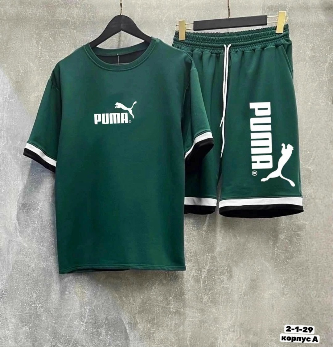 костюм спортивный мужской с шортами и футболкой,костюм спортивный мужской,костюм спортивный летний с футболкой и шортами,летний костюм спортивный мужской,костюм мужской puma