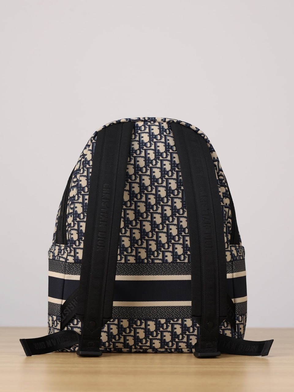 рюкзак диор,рюкзак dior,рюкзак,женские рюкзаки,классическая рюкзаки