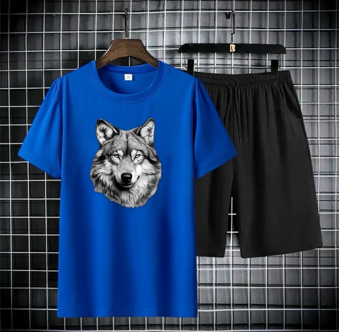 спортивные костюм,комплект спортивной одежды,костюм спортивный мужской,футболки мужские,спортивная одежда мужская