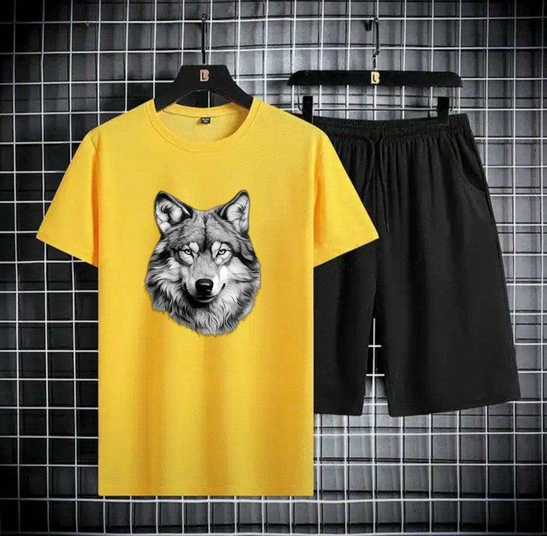 спортивные костюм,комплект спортивной одежды,костюм спортивный мужской,футболки мужские,спортивная одежда мужская