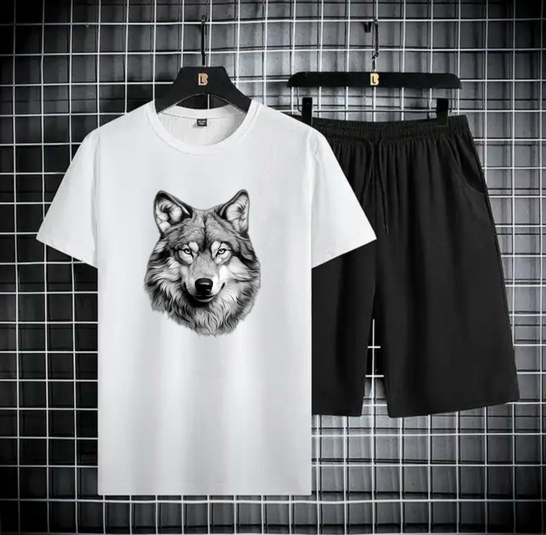 спортивные костюм,комплект спортивной одежды,костюм спортивный мужской,футболки мужские,спортивная одежда мужская