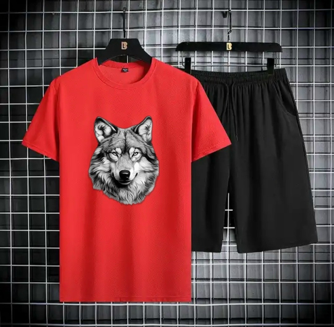 спортивные костюм,комплект спортивной одежды,костюм спортивный мужской,футболки мужские,спортивная одежда мужская