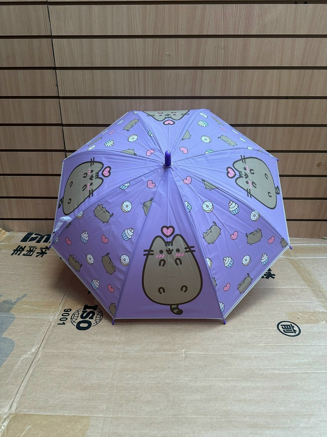 детские зонтики,зонтик для девочки,зонт принцесса,зонт детский принцесса софия,зонтик детский