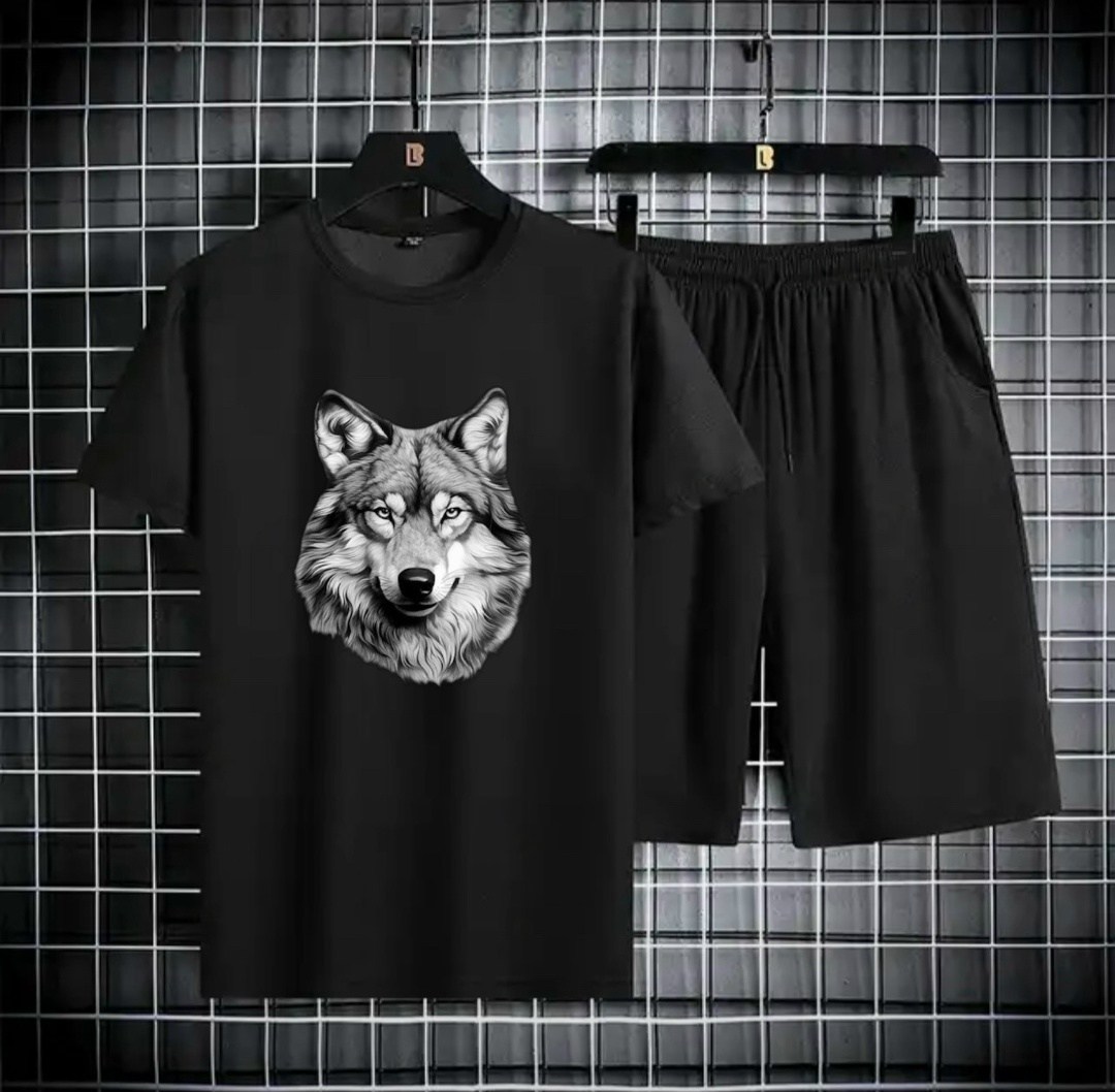 спортивные костюм,комплект спортивной одежды,костюм спортивный мужской,футболки мужские,спортивная одежда мужская