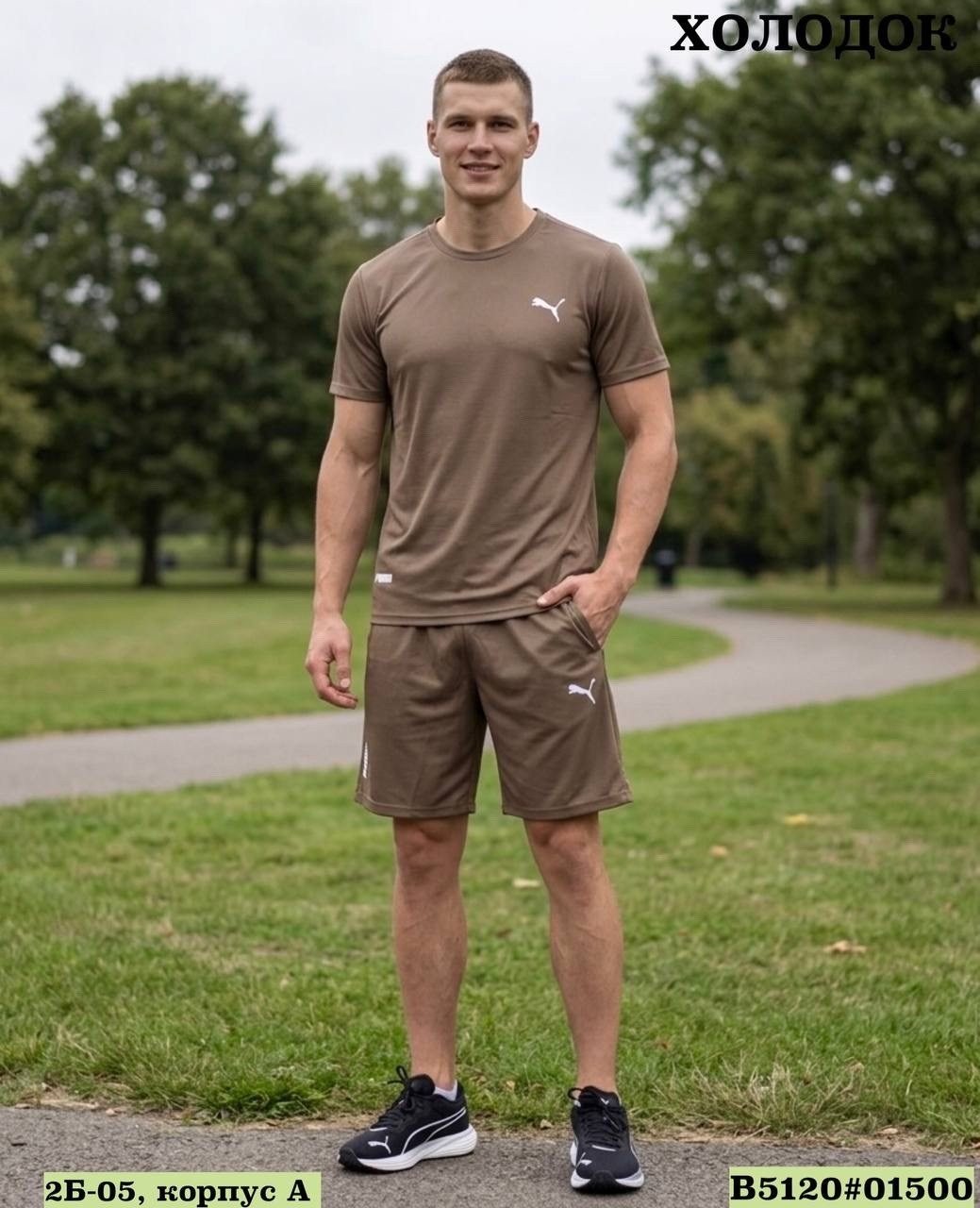 костюм спортивный мужской,костюм мужской спортивный с шортами,костюм с шортам,костюм летний мужской,шорты мужские