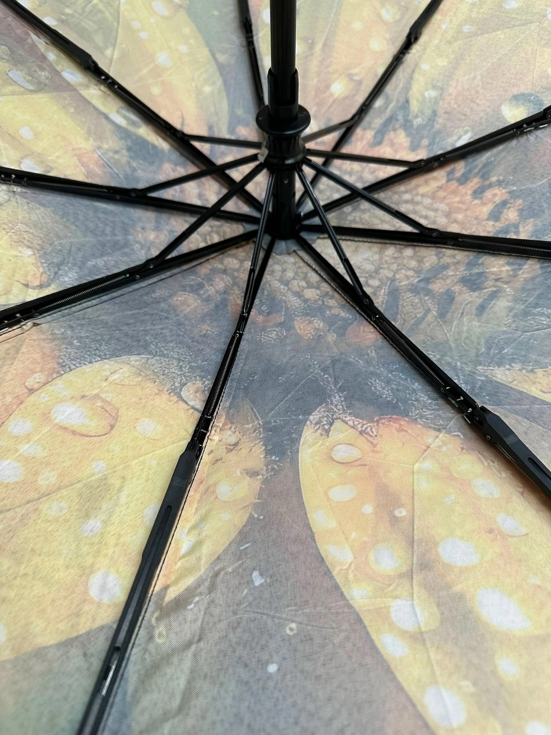 зонт автомат женский,зонт,зонт автомат,зонт с подсолнухами,зонт женский