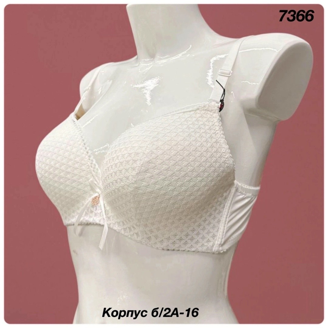 бюстгальтер,бюстгальтер комплект,женская нижнее белье,женский бюстгальтер,нижнее белье оптом