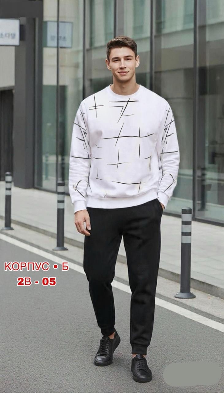 свитшот волк,свитшот волк т046,мужские свитшоты,свитшот мужская,мужская толстовка