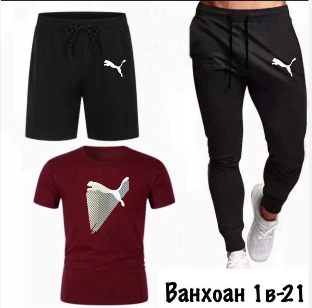 костюм спортивный мужской,спортивные костюм,мужская спортивная одежда,спортивный костюм мужской puma,мужские костюмы