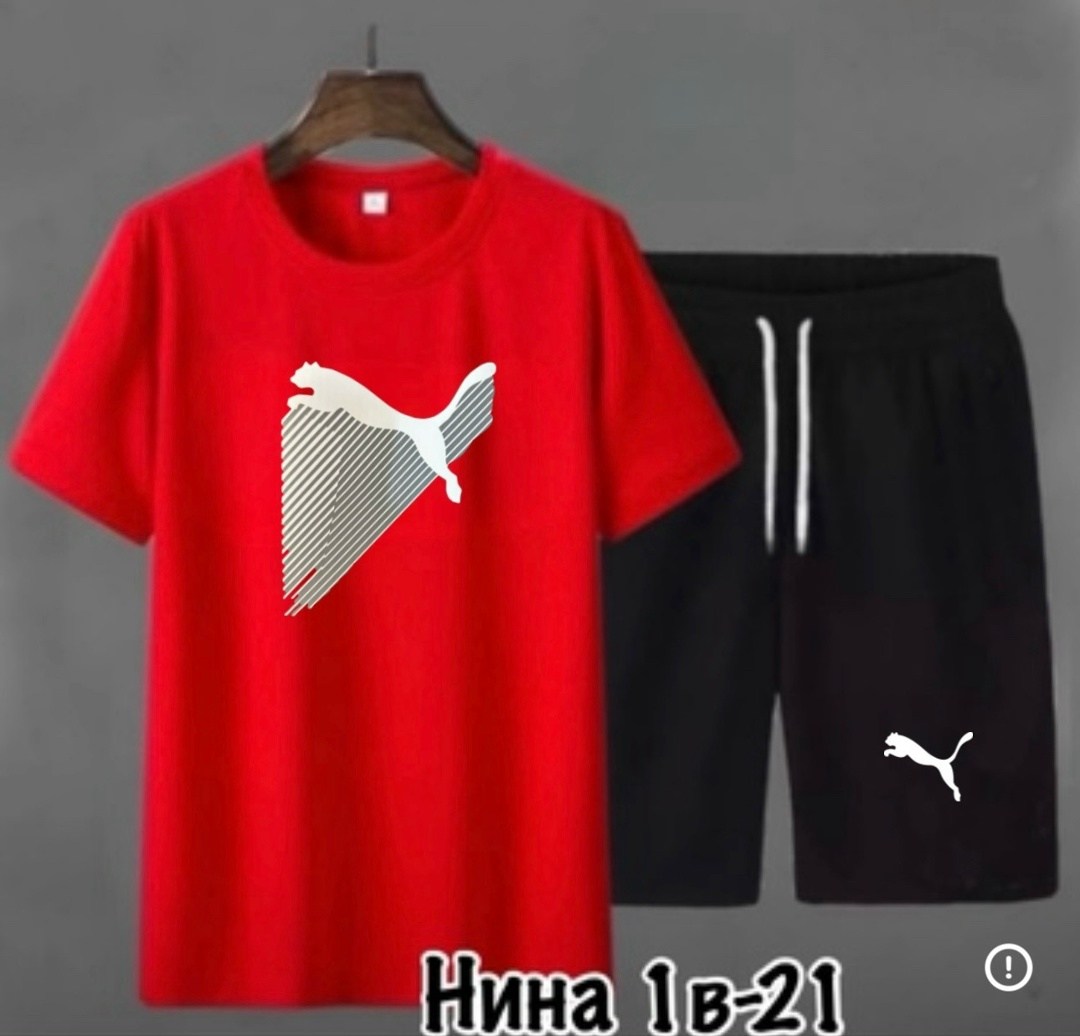 мужские спортивные костюмы,спортивные костюм,спортивные костюм мужские с шортами,комплект мужской одежды,костюм мужской шорты и футболка