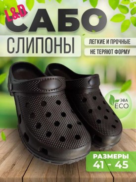 Сланцы