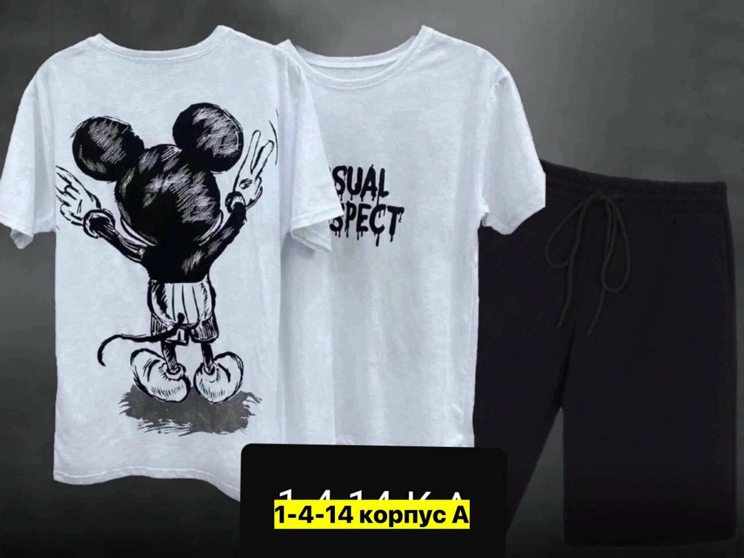 костюм спортивный мужской,костюм двойка мужской,мужские футболки ,костюм для мужчин,