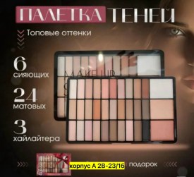 Одежда