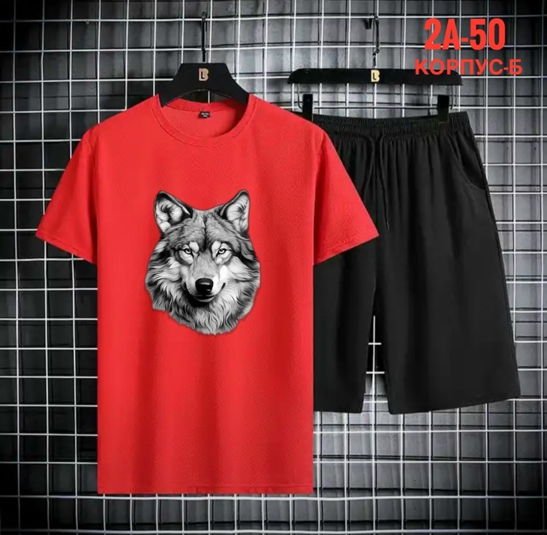 спортивные костюм,костюм спортивный мужской,,мужская футболка,футболки комплект