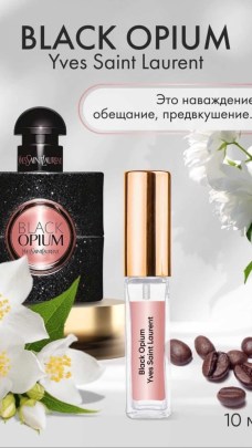 Одежда