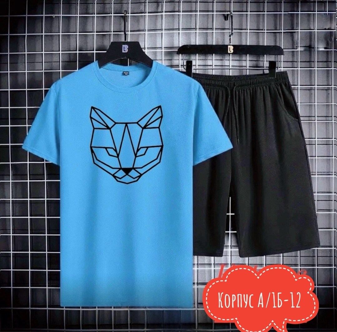 костюм спортивный мужской,костюм мужской,спортивные костюмы,комплект спортивной одежды,комплект футболки