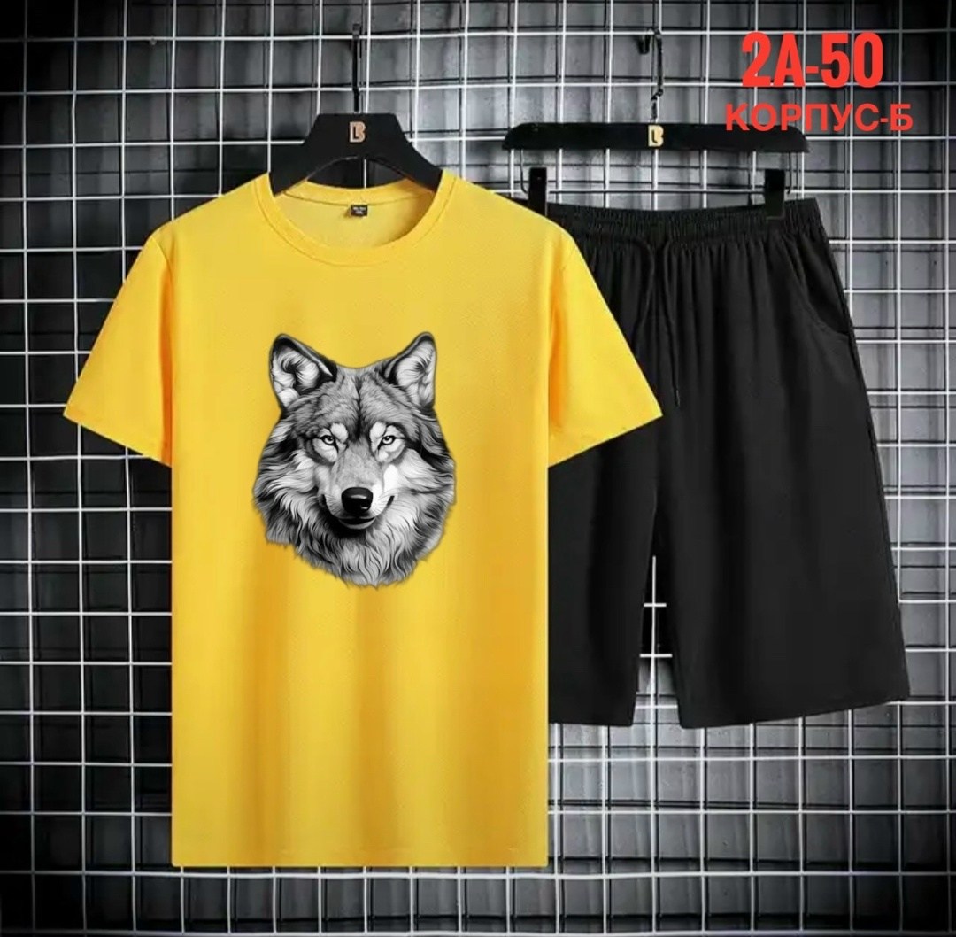 спортивные костюм,костюм спортивный мужской,,мужская футболка,футболки комплект