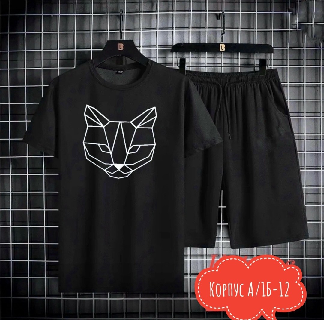 костюм спортивный мужской,костюм мужской,спортивные костюмы,комплект спортивной одежды,комплект футболки