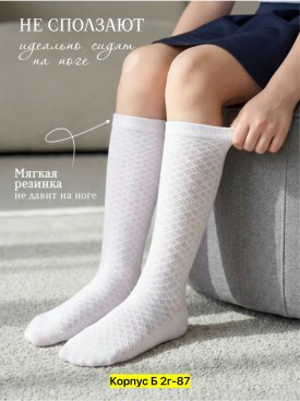 Одежда