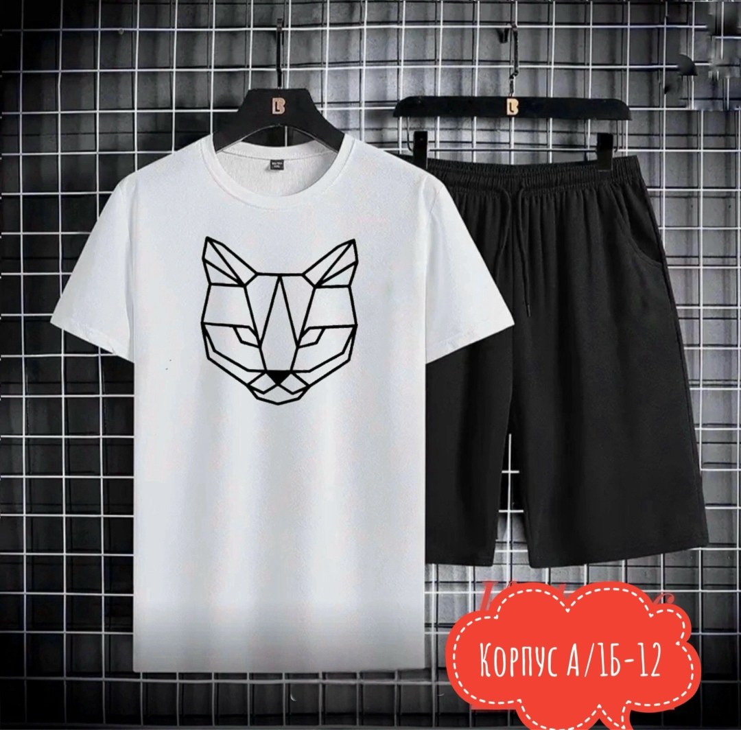 костюм спортивный мужской,костюм мужской,спортивные костюмы,комплект спортивной одежды,комплект футболки