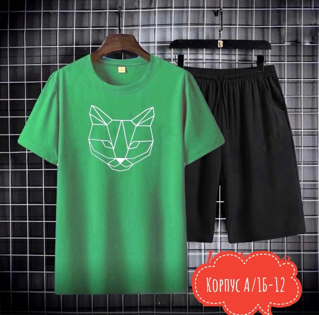 костюм спортивный мужской,костюм мужской,спортивные костюмы,комплект спортивной одежды,комплект футболки