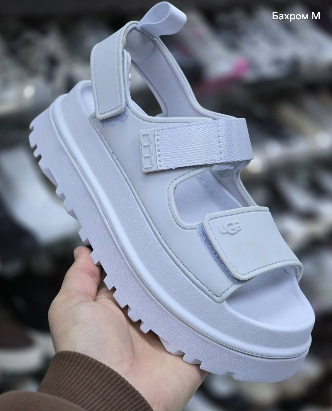 ,сандалии,сандалии босоножки,босоножки сандали,сандалии женские