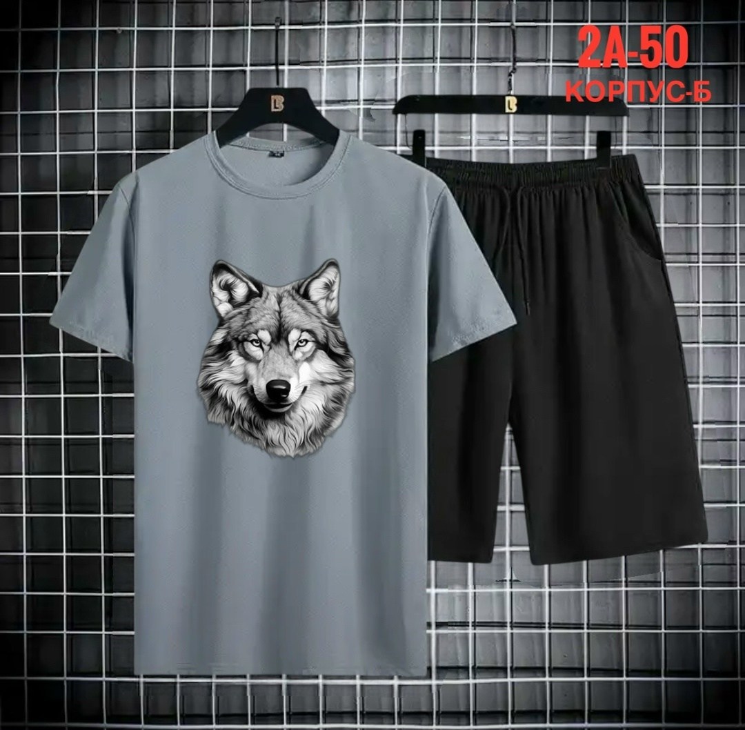 спортивные костюм,костюм спортивный мужской,,мужская футболка,футболки комплект