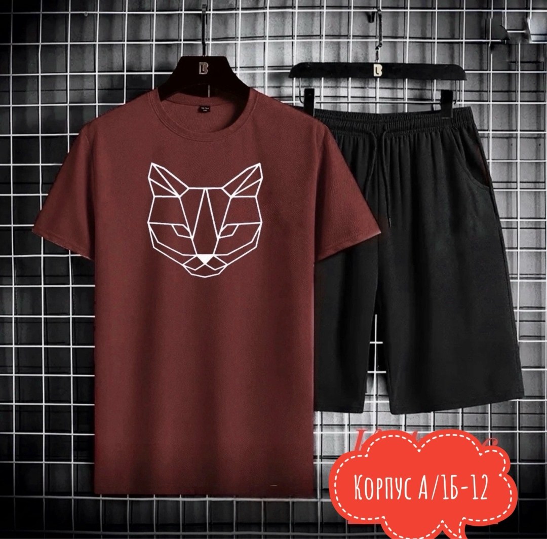 костюм спортивный мужской,костюм мужской,спортивные костюмы,комплект спортивной одежды,комплект футболки