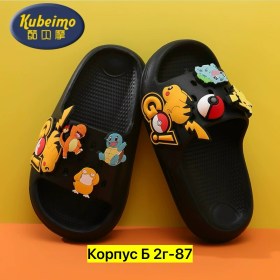 Сланцы