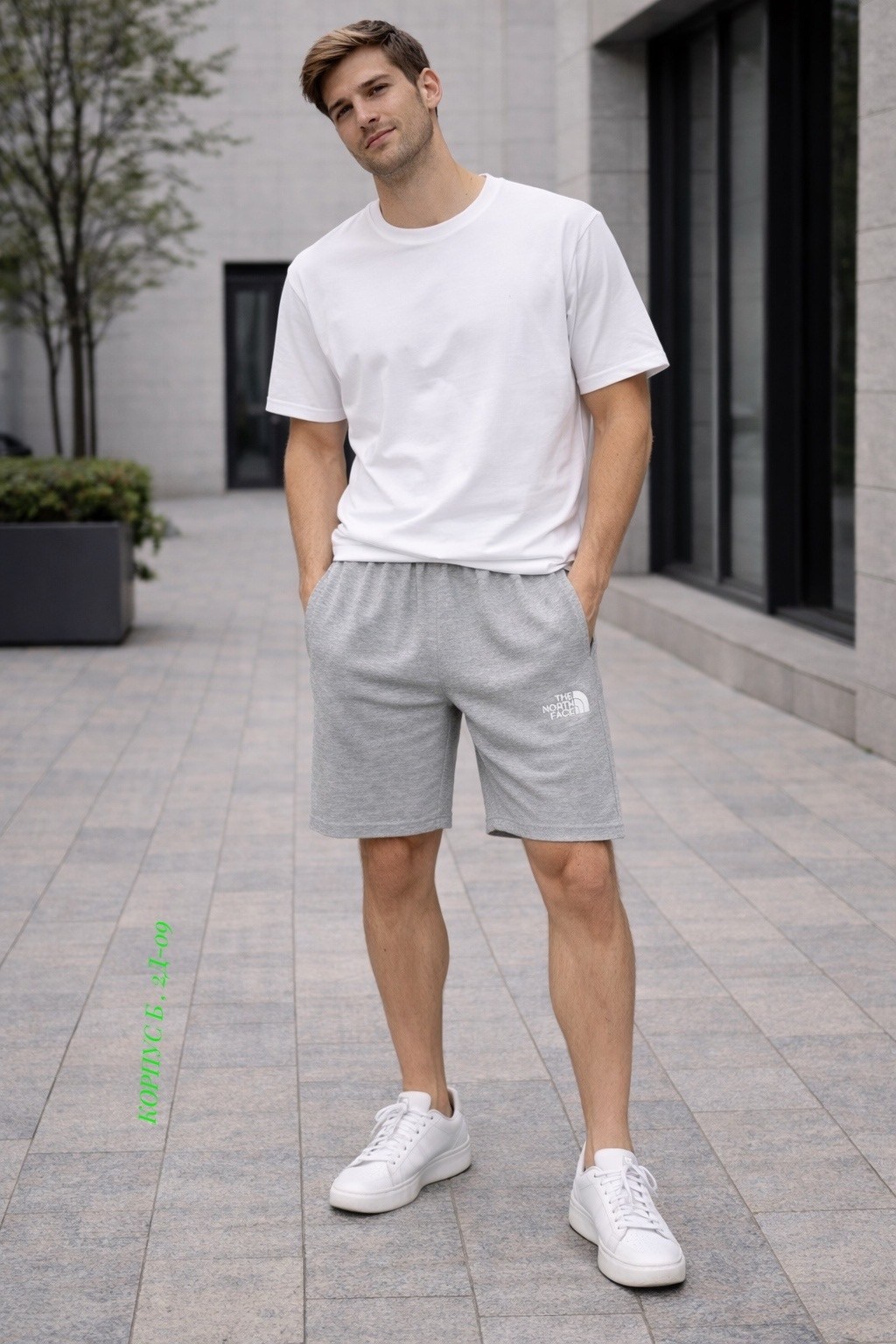 мужские шорты the north face,шорты the north face,мужские шорты the north face standart short light,мужские шорты,мужские спортивные шорты